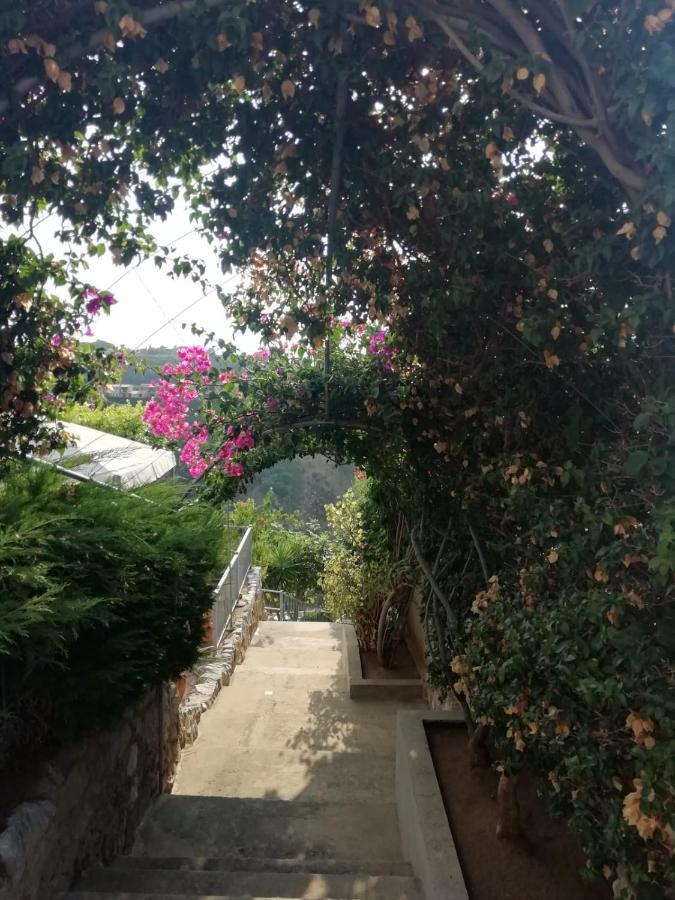 Villa Del Conte Tropea Exterior photo